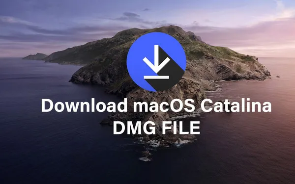 Macos catalina 10.15.5 download